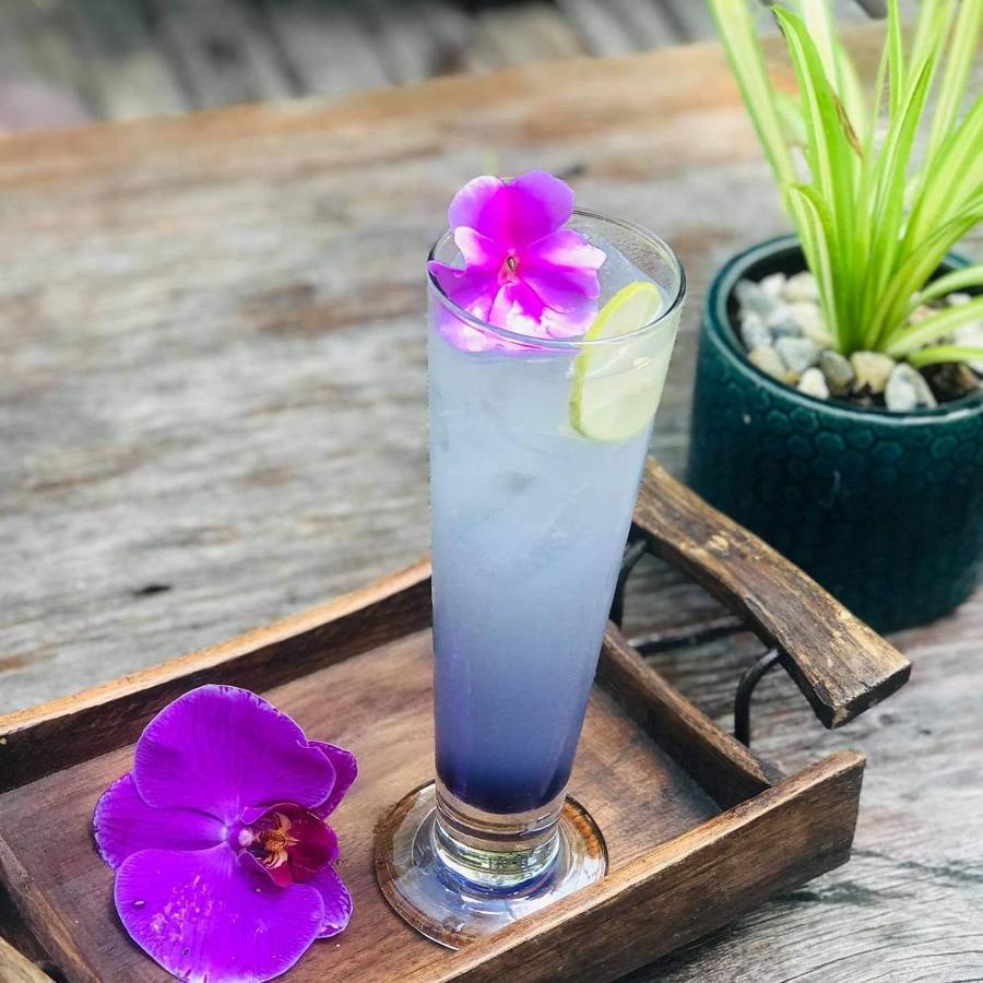 Chai Lai Orchid Hotel Chiang Mai