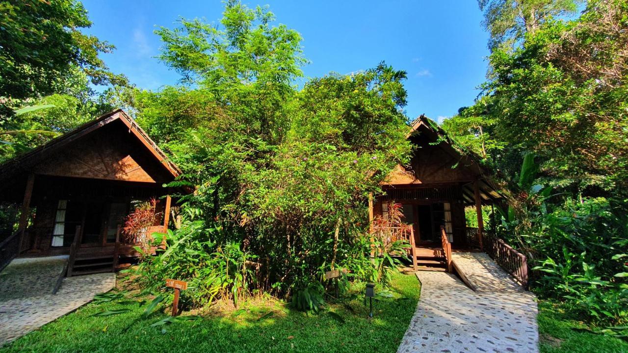 Our Jungle House