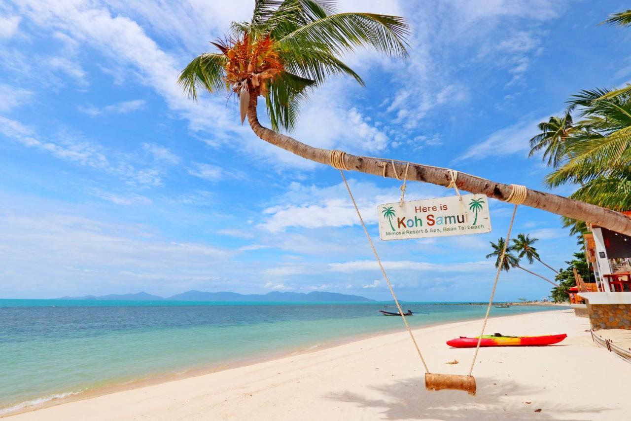 Resort Mimosa & 4*