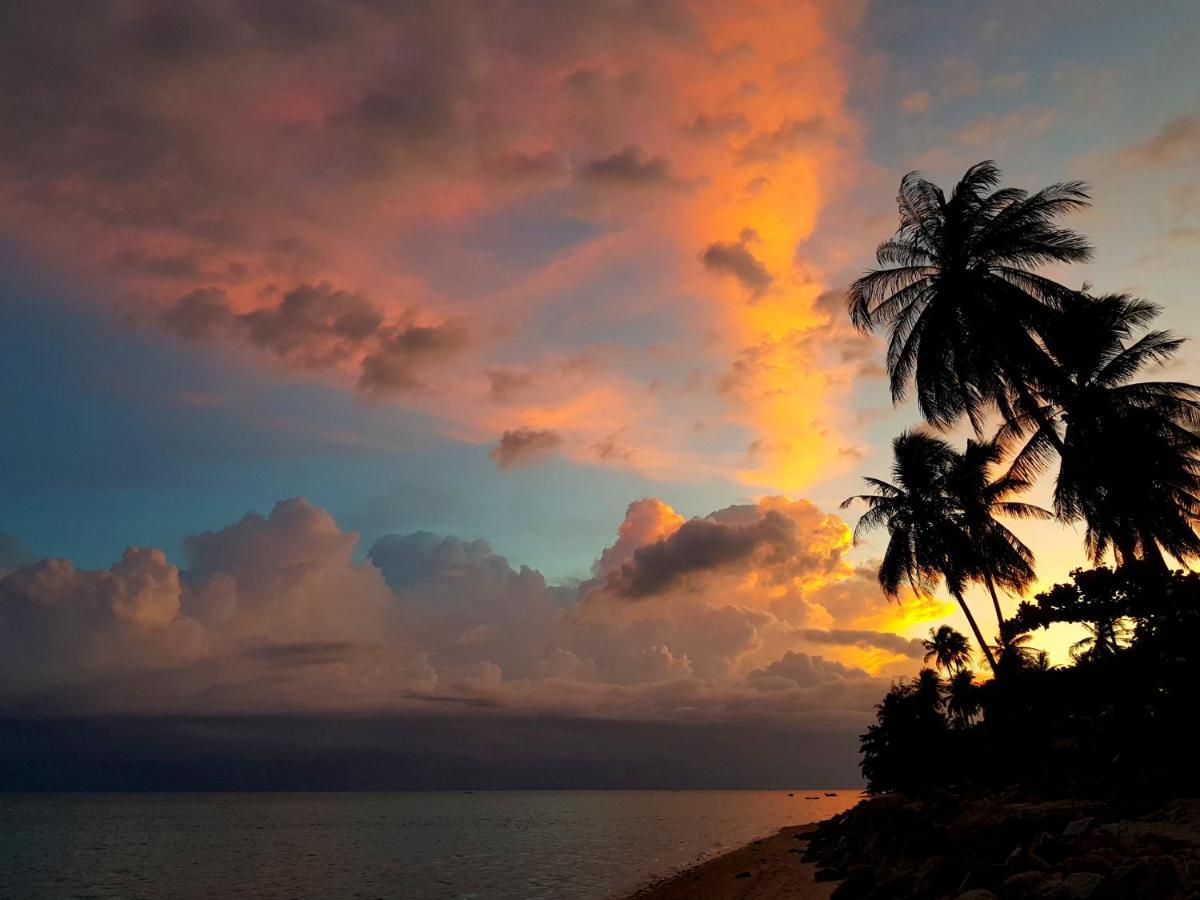 Islandlife
