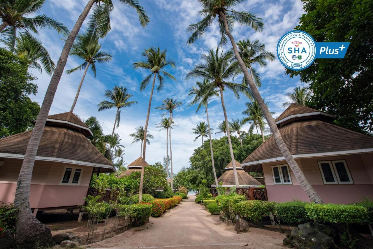 Resort Coral Grand 3*