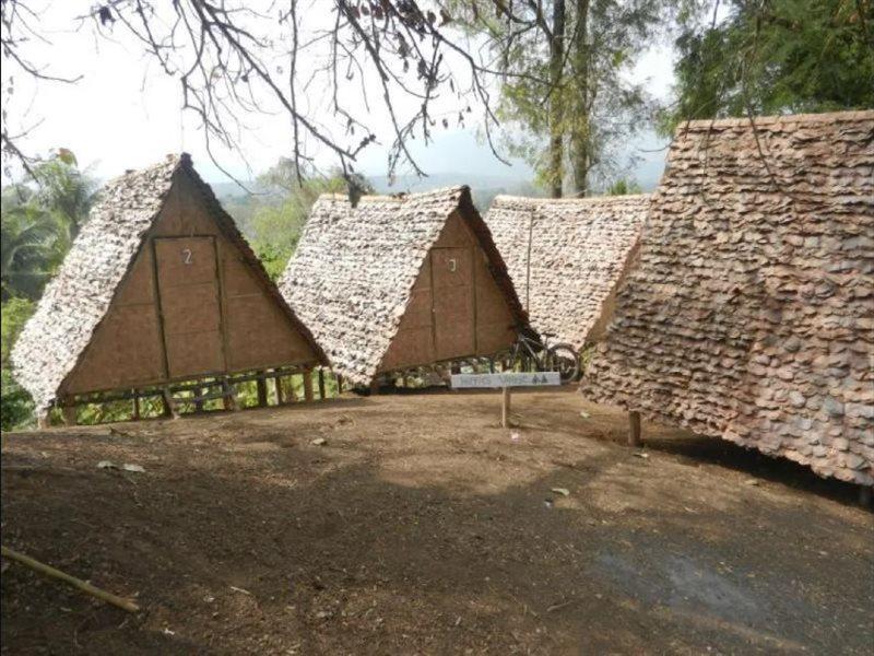 Guest house Circus