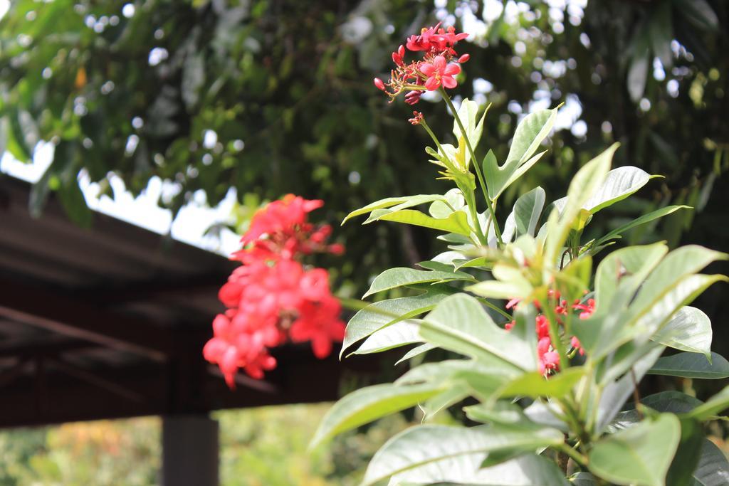 Lanta Happy Hill Resort