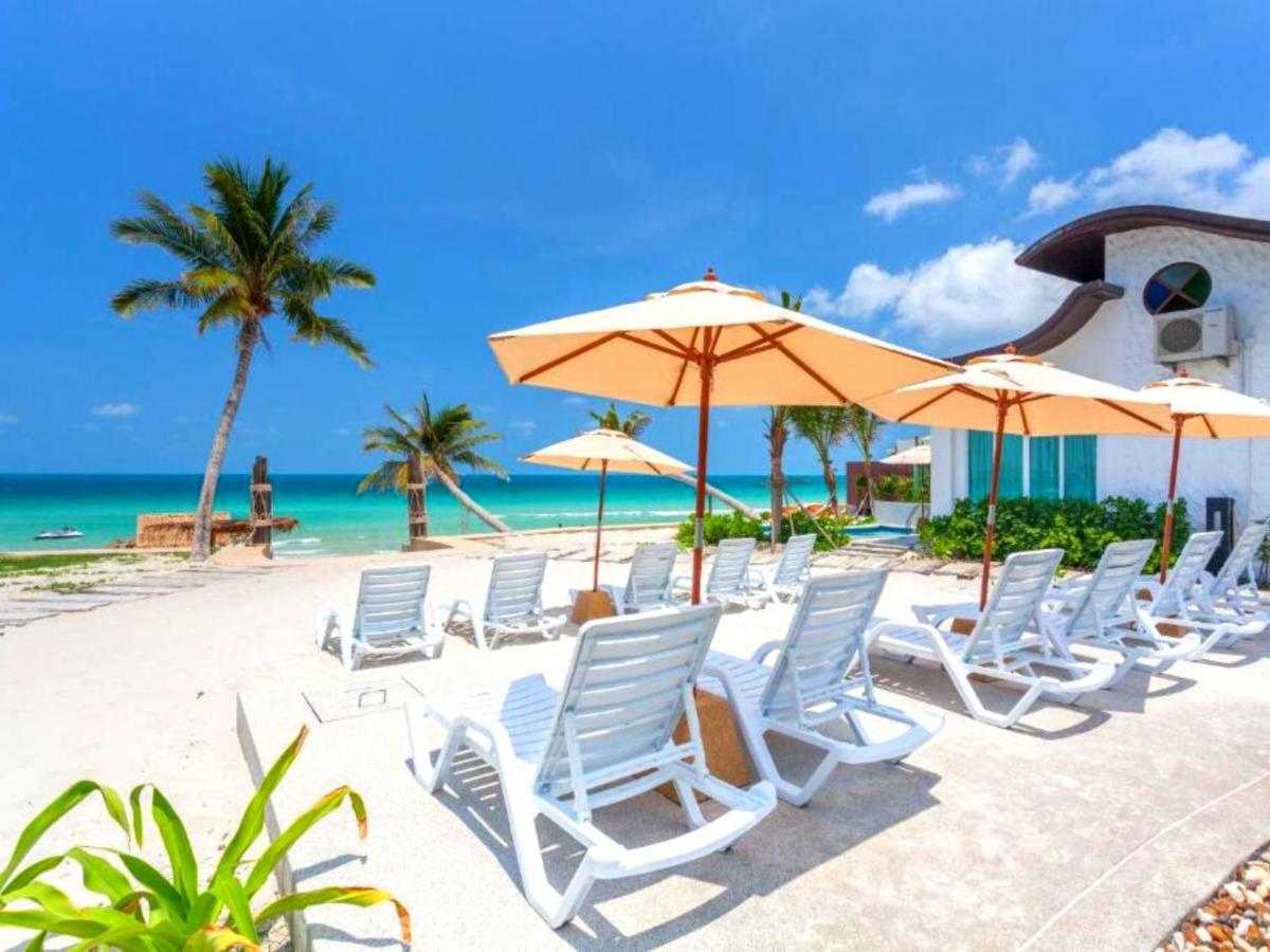 The Samui Beach