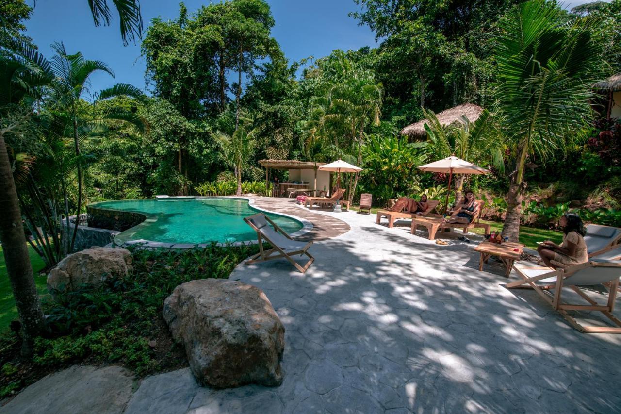 Oasis
