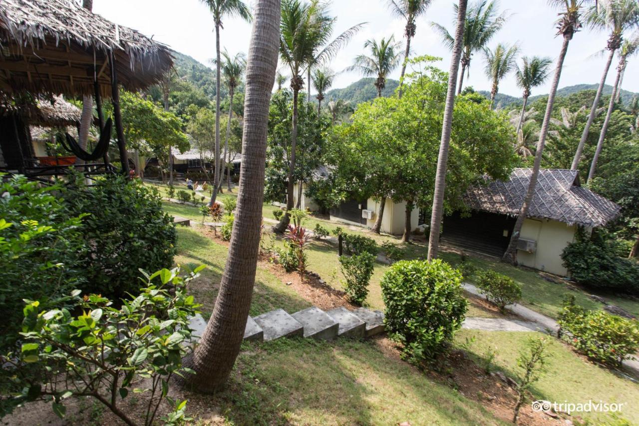 Resort Shiralea Backpackers