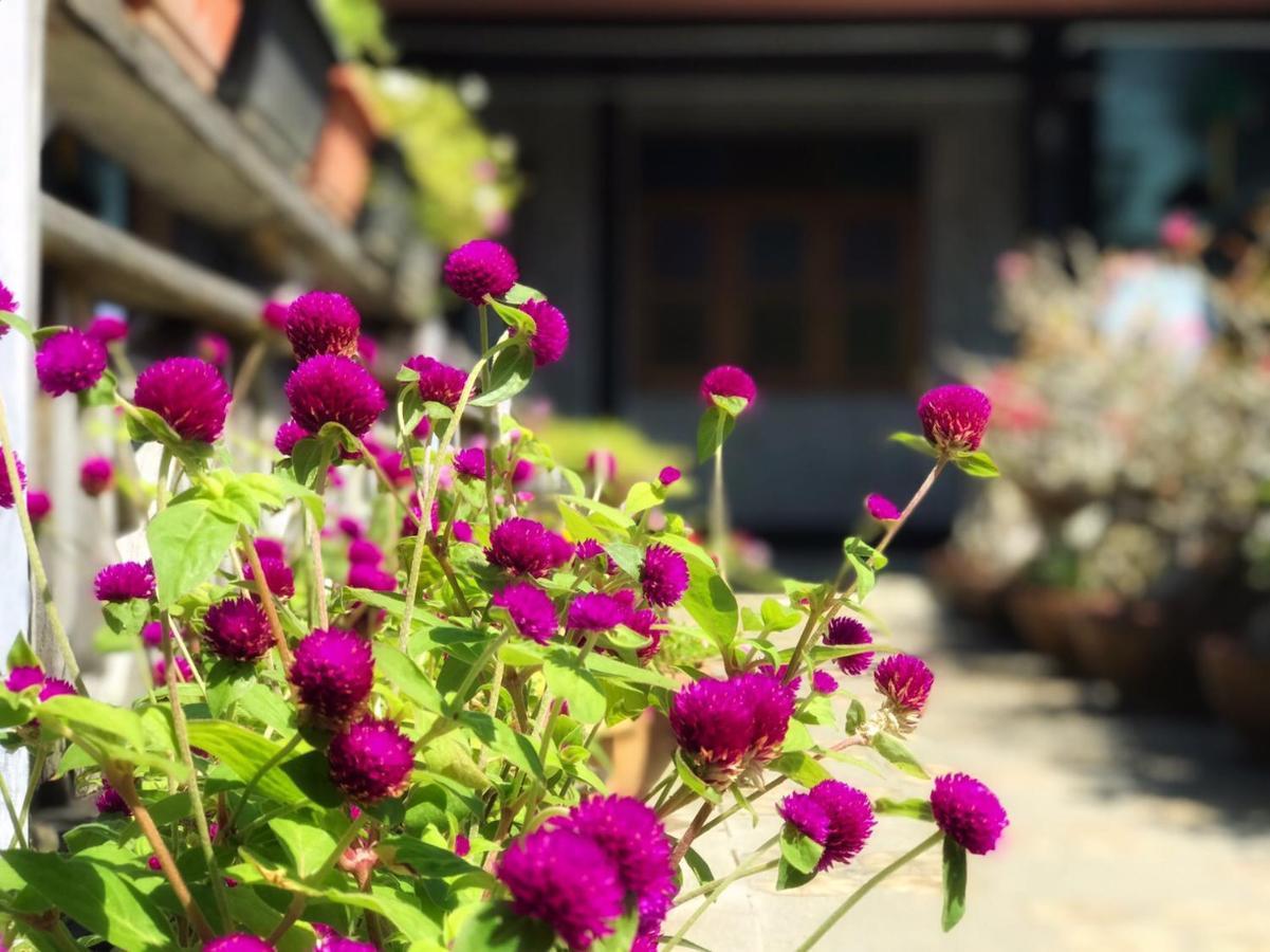 Mangrove House Lanta Old Town Guest house 2*