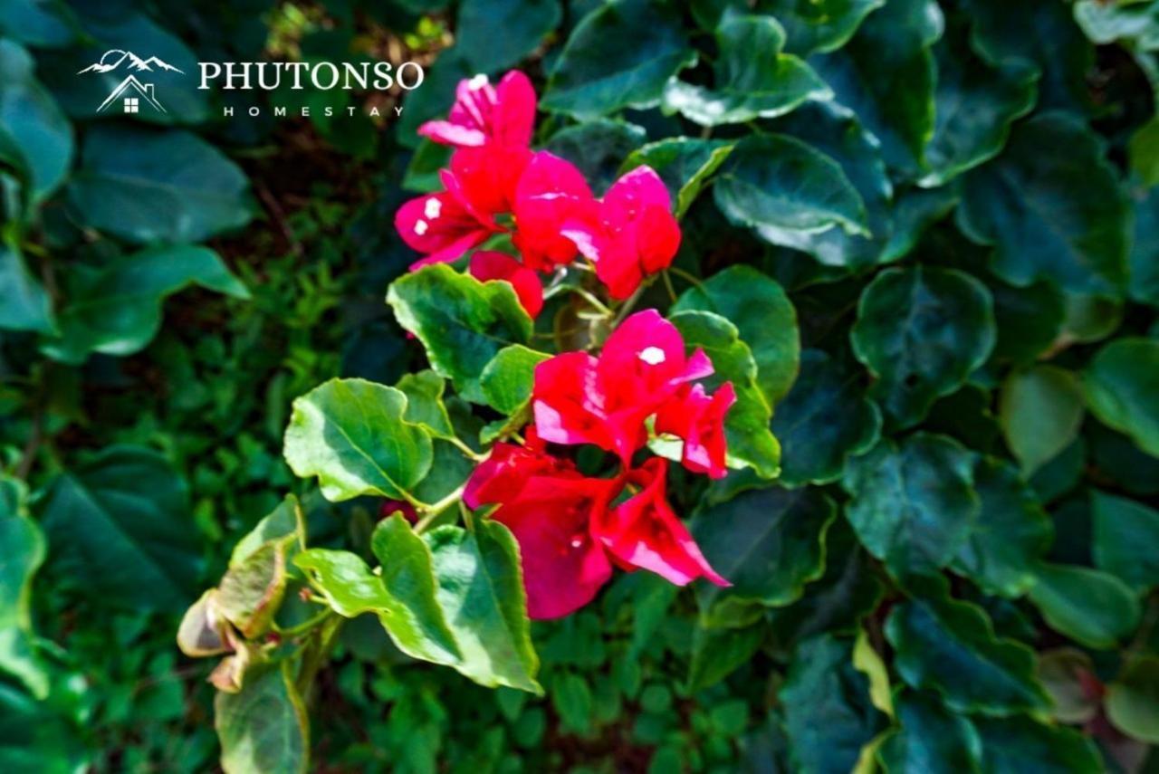 Homestay Phutonso