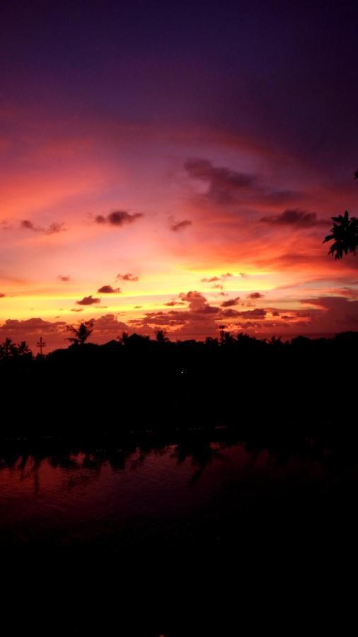 Paradise Palms Resort