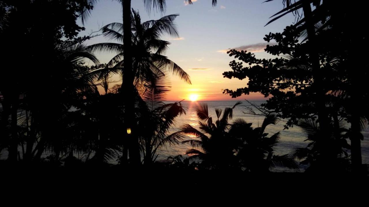 Resort Paradise Palms