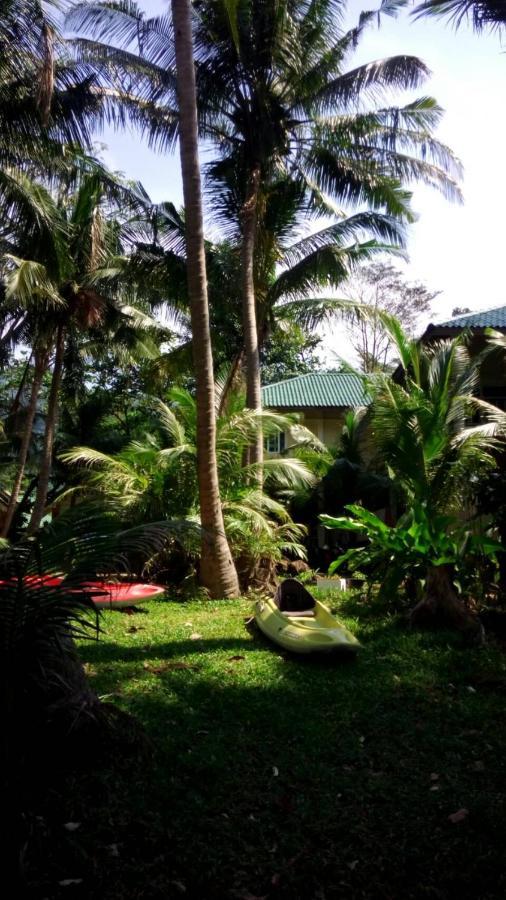 Resort Paradise Palms 3*