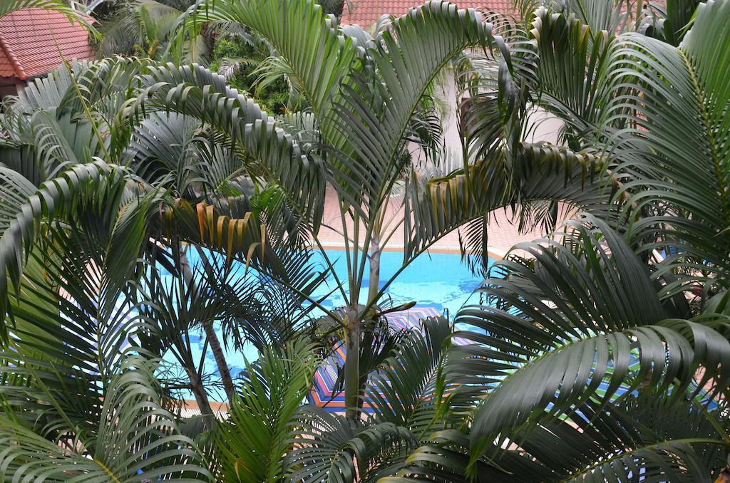 Garden 3*