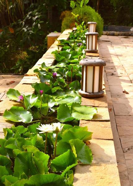 Resort The Narima - Sha