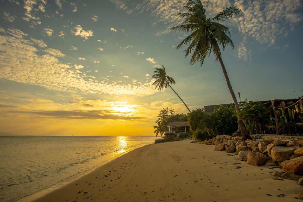 Hotel Absolute Beachfront
