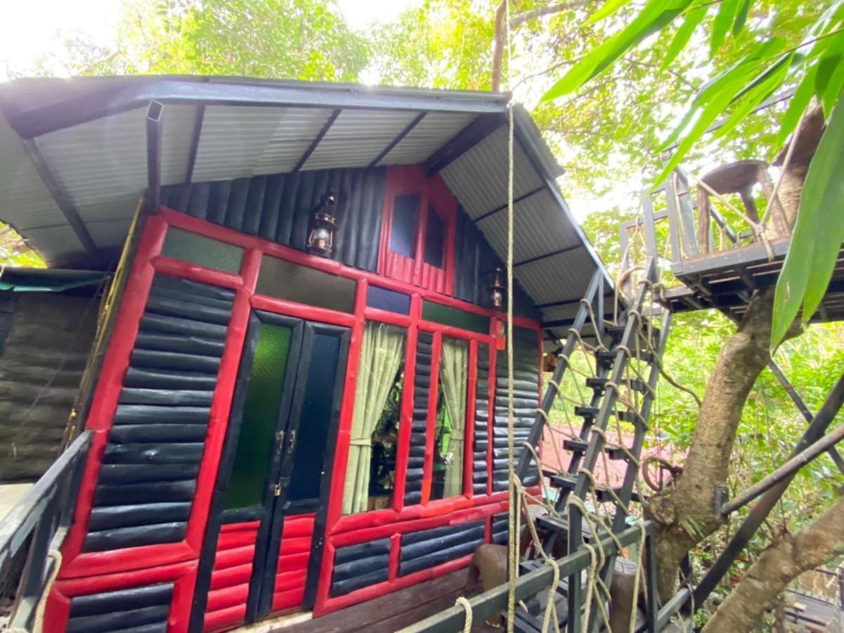Khao Sok Tree House Khao Sok National Park
