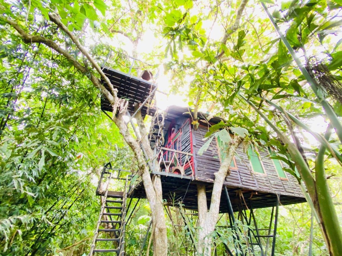Khao Sok Tree House Resort