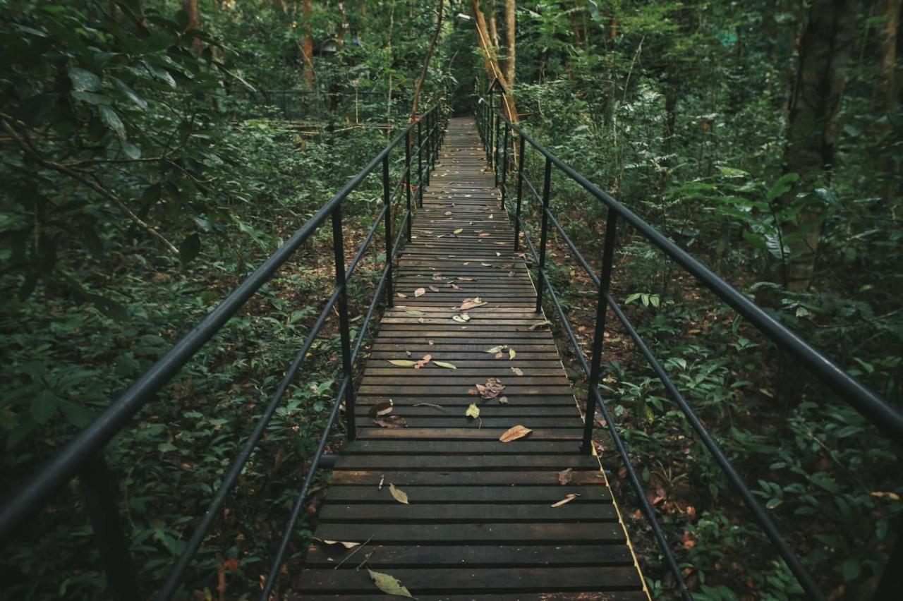 Khao Sok Tree House