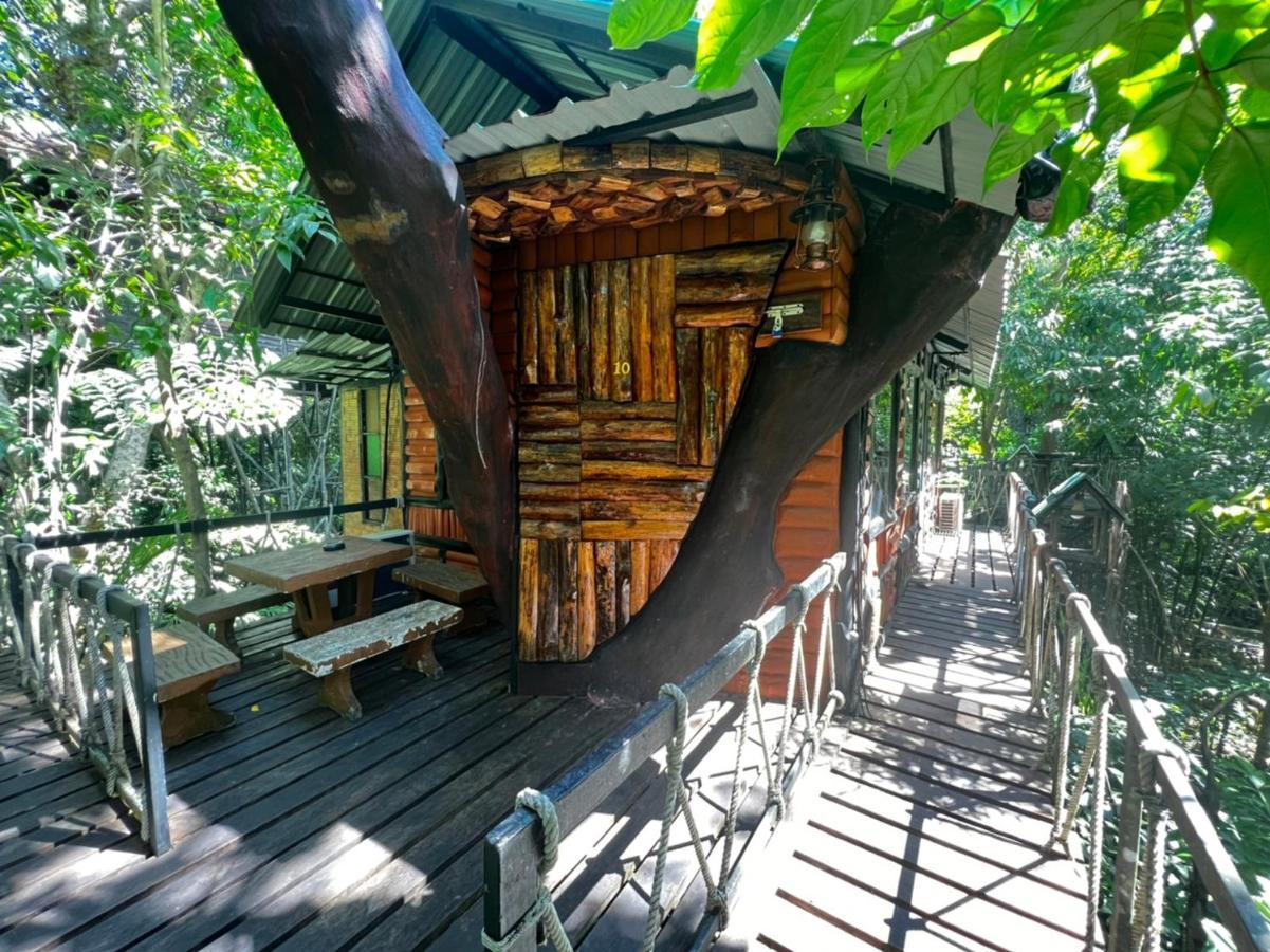 Khao Sok Tree House Khao Sok National Park