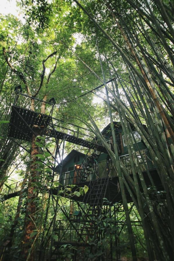 Khao Sok Tree House Khao Sok National Park