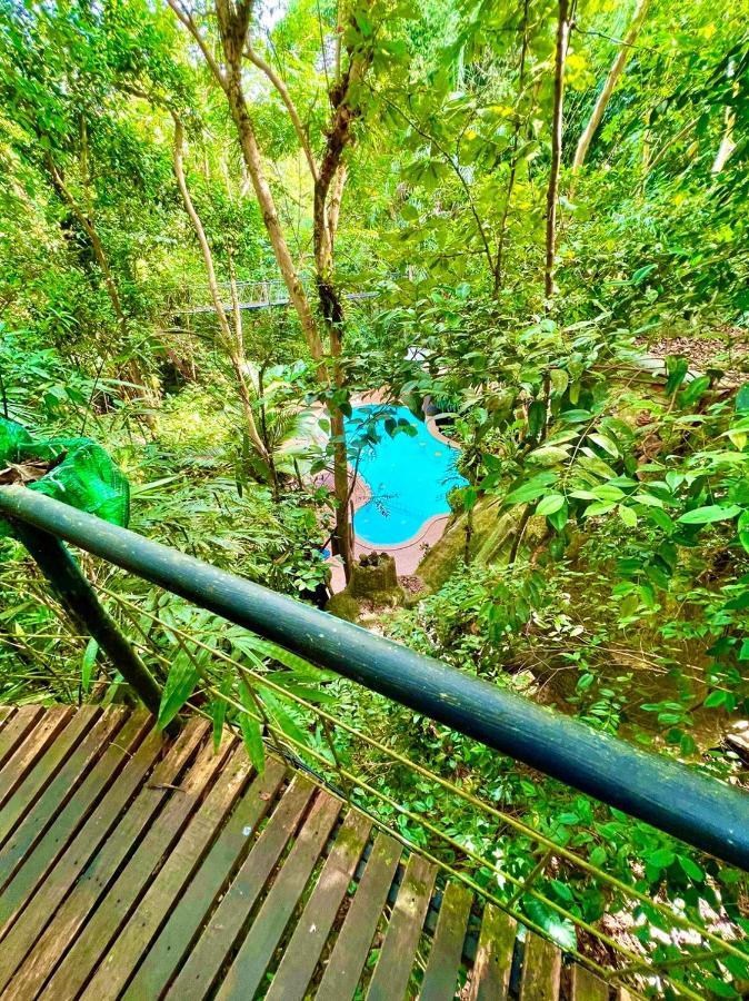 Khao Sok Tree House 4*
