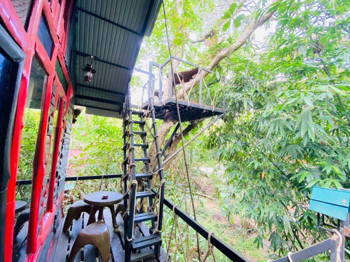 Resort Khao Sok Tree House Khao Sok National Park