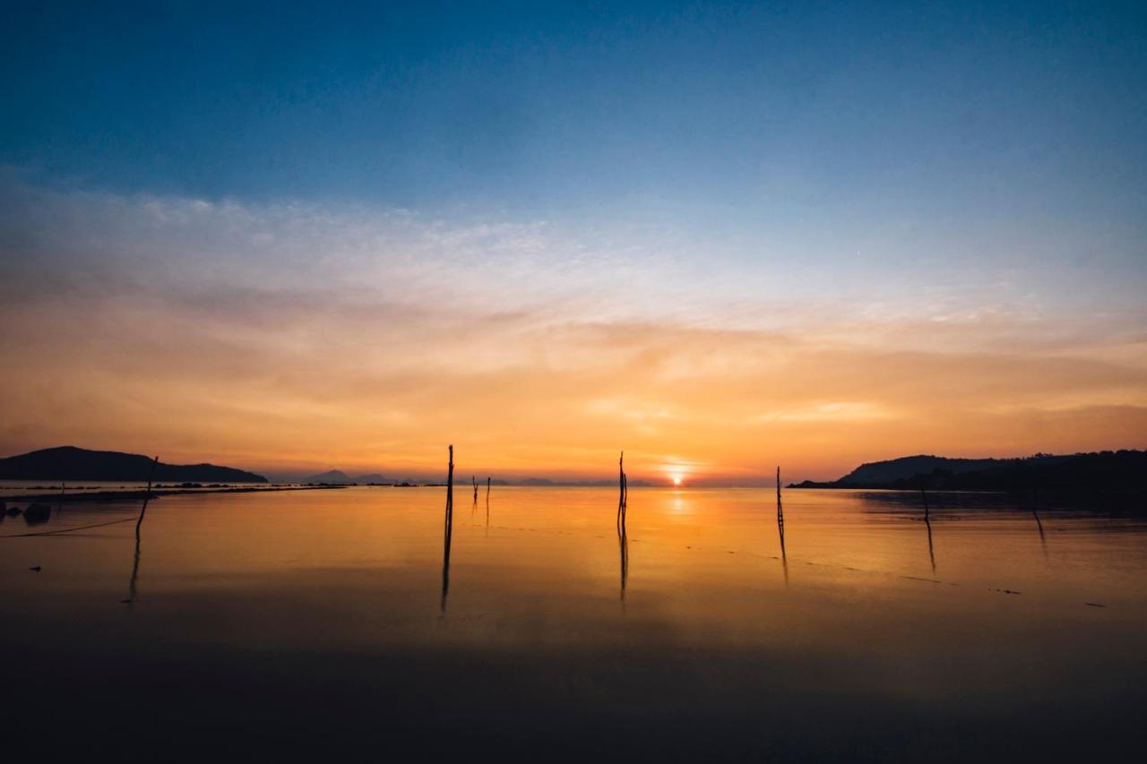The Samui