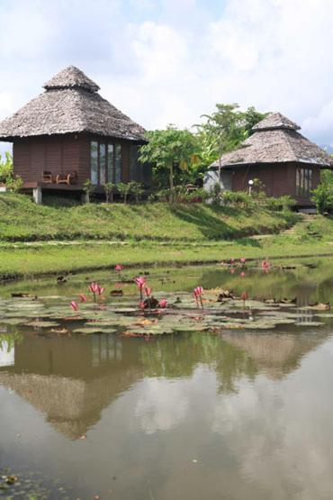 Backpackers Paradise (adults Only) * Pai