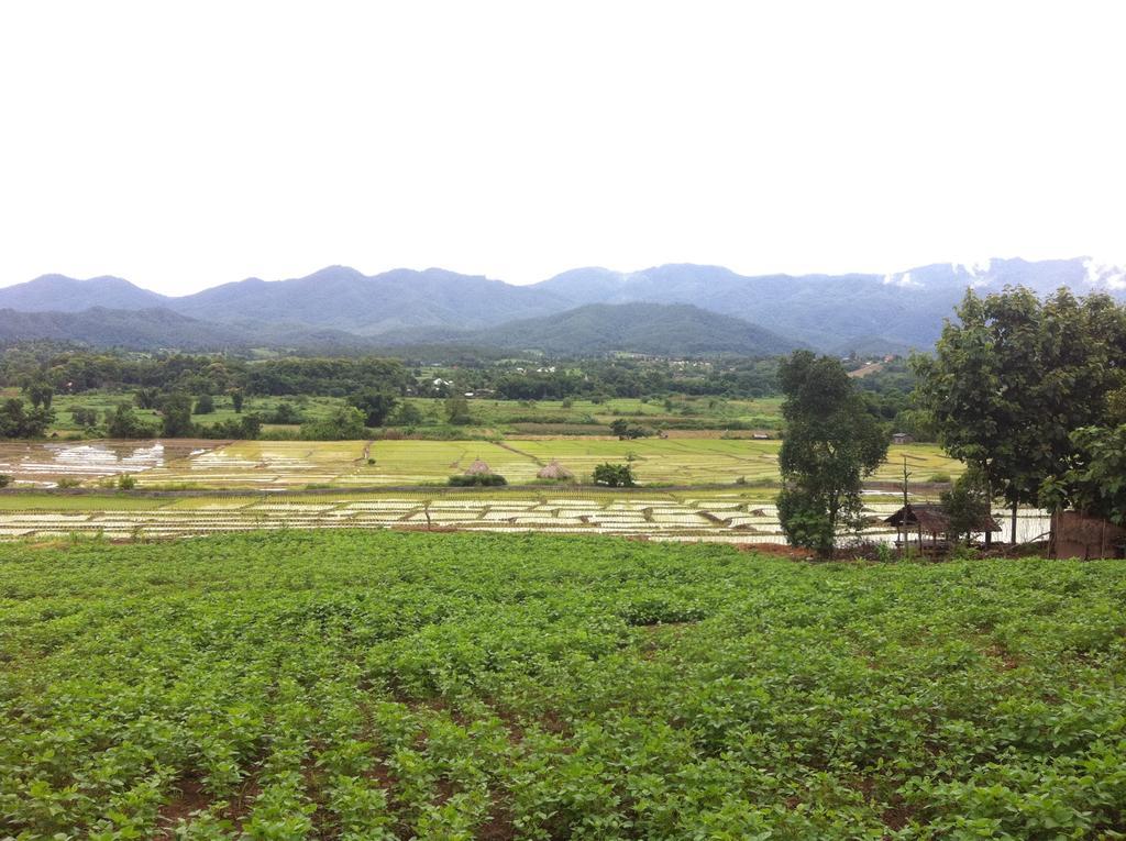 Chang Garden (adults Only)