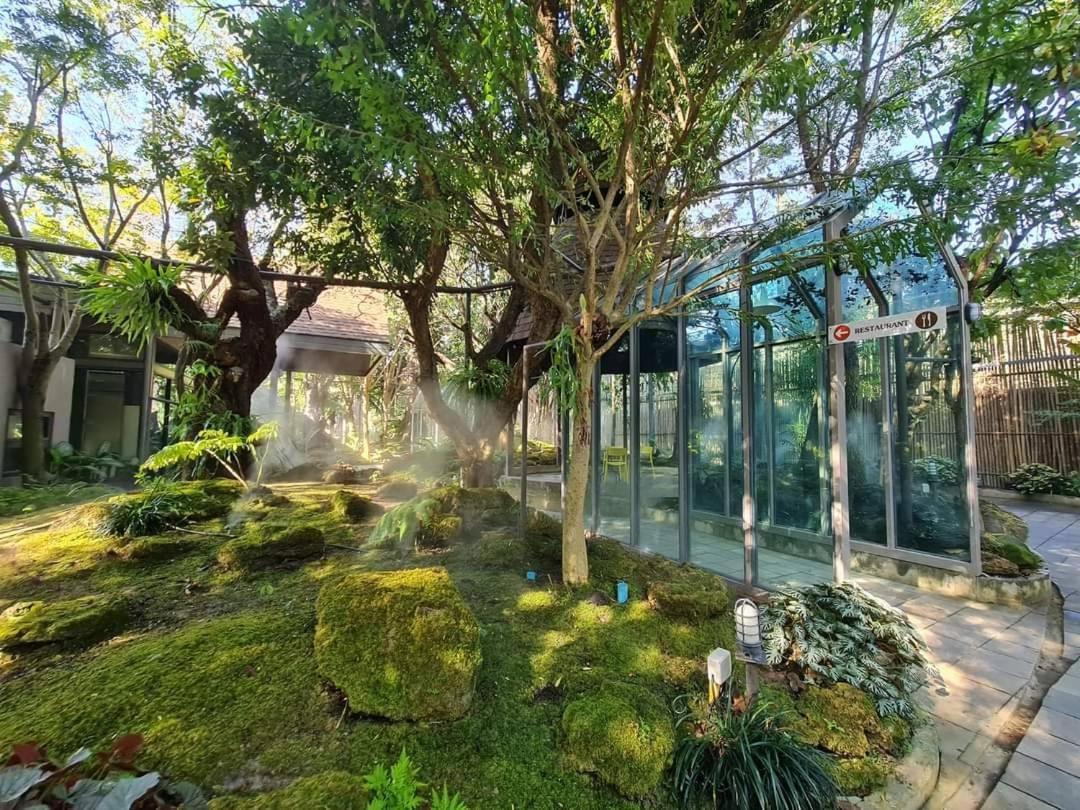 Treescape Chiangmai