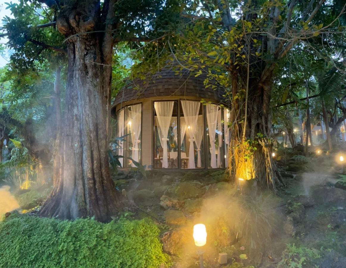 Treescape Chiangmai Resort