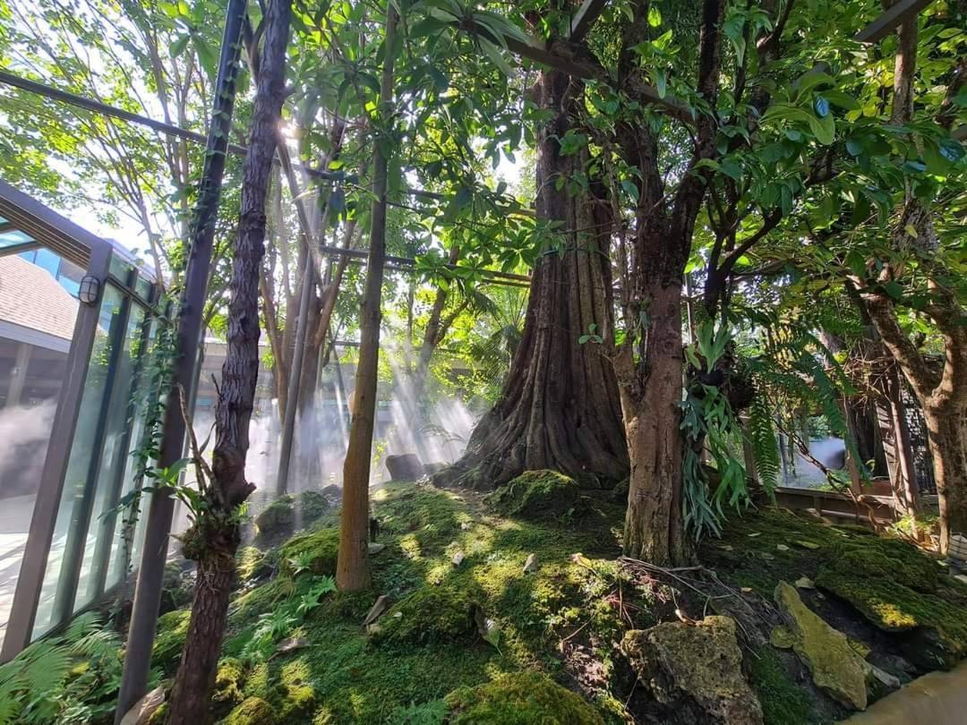 Treescape Chiangmai Resort