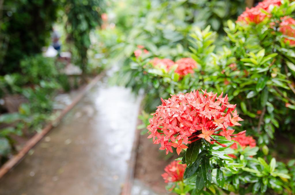 Hostel Sea Garden Hostels