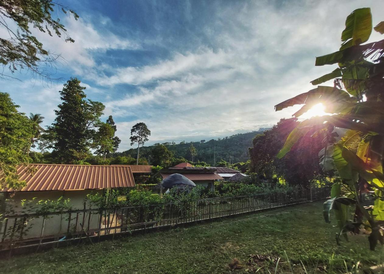 Samui Farm * Laem Sor