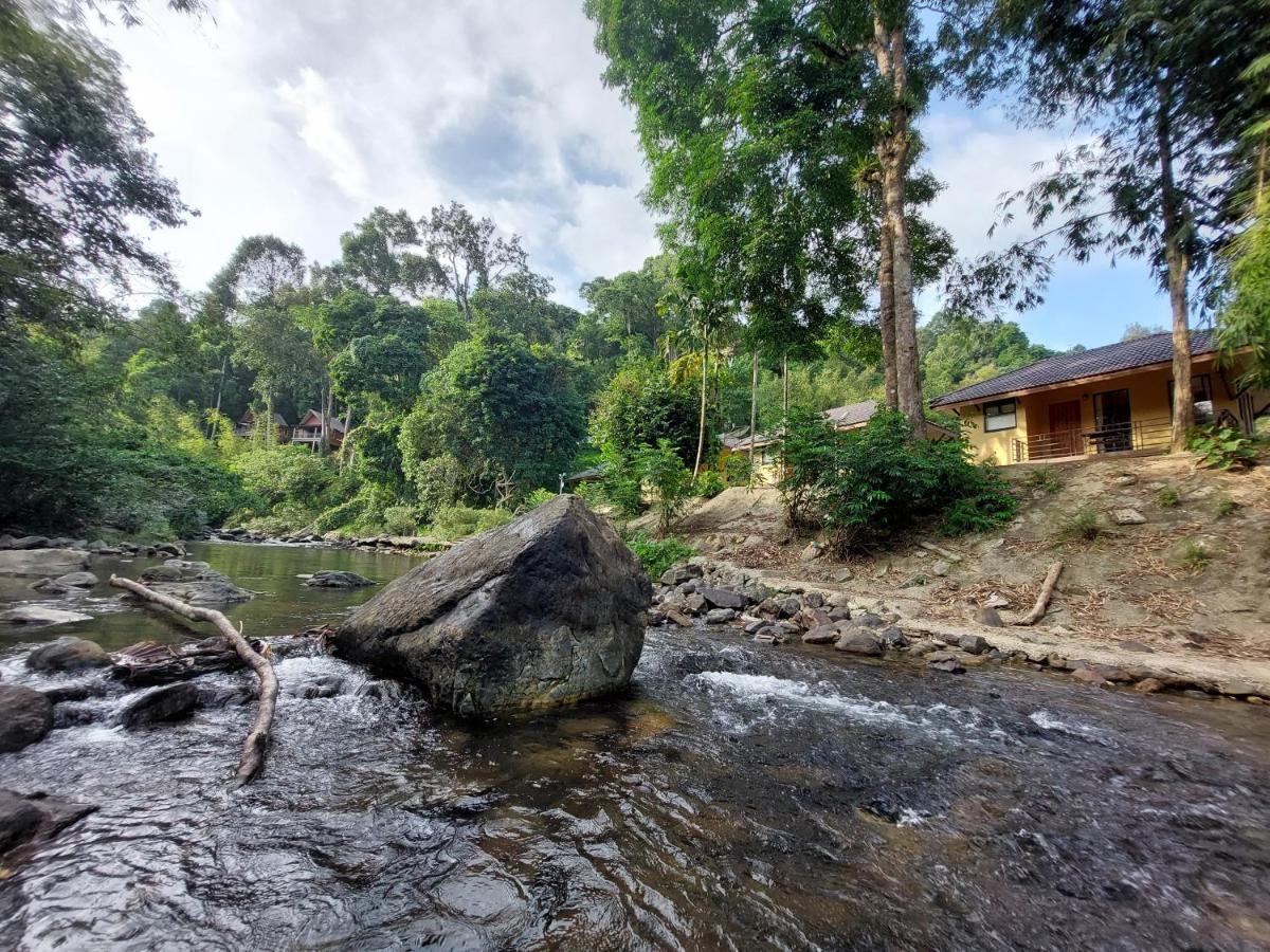 Khaosok Rainforest 3*