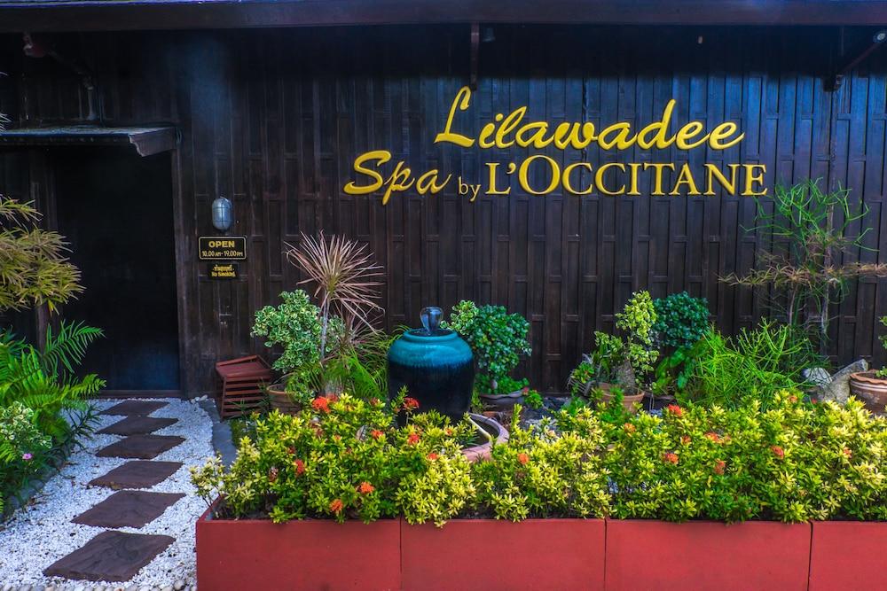 Kupu Kupu Phangan &