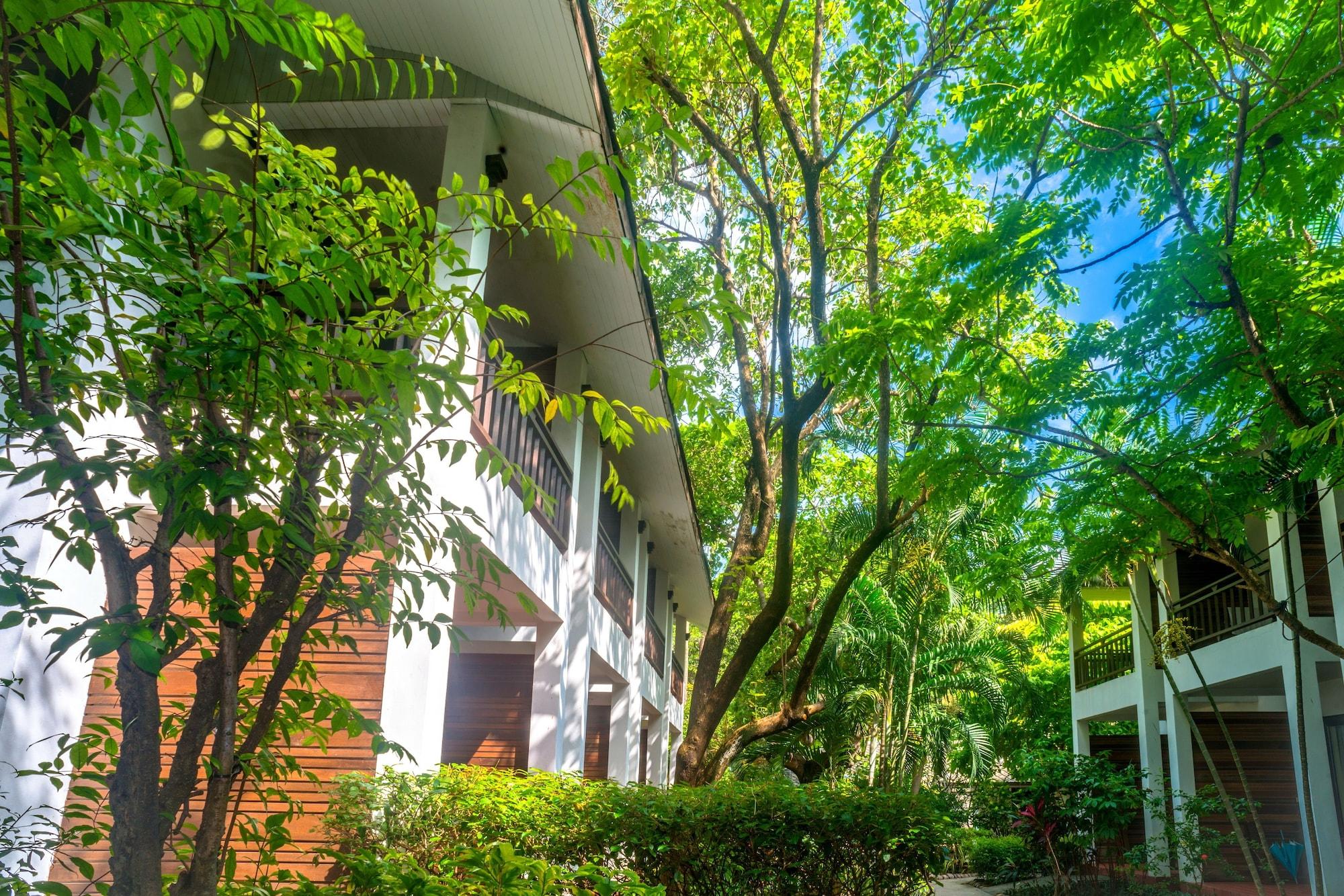 The Hive Resort