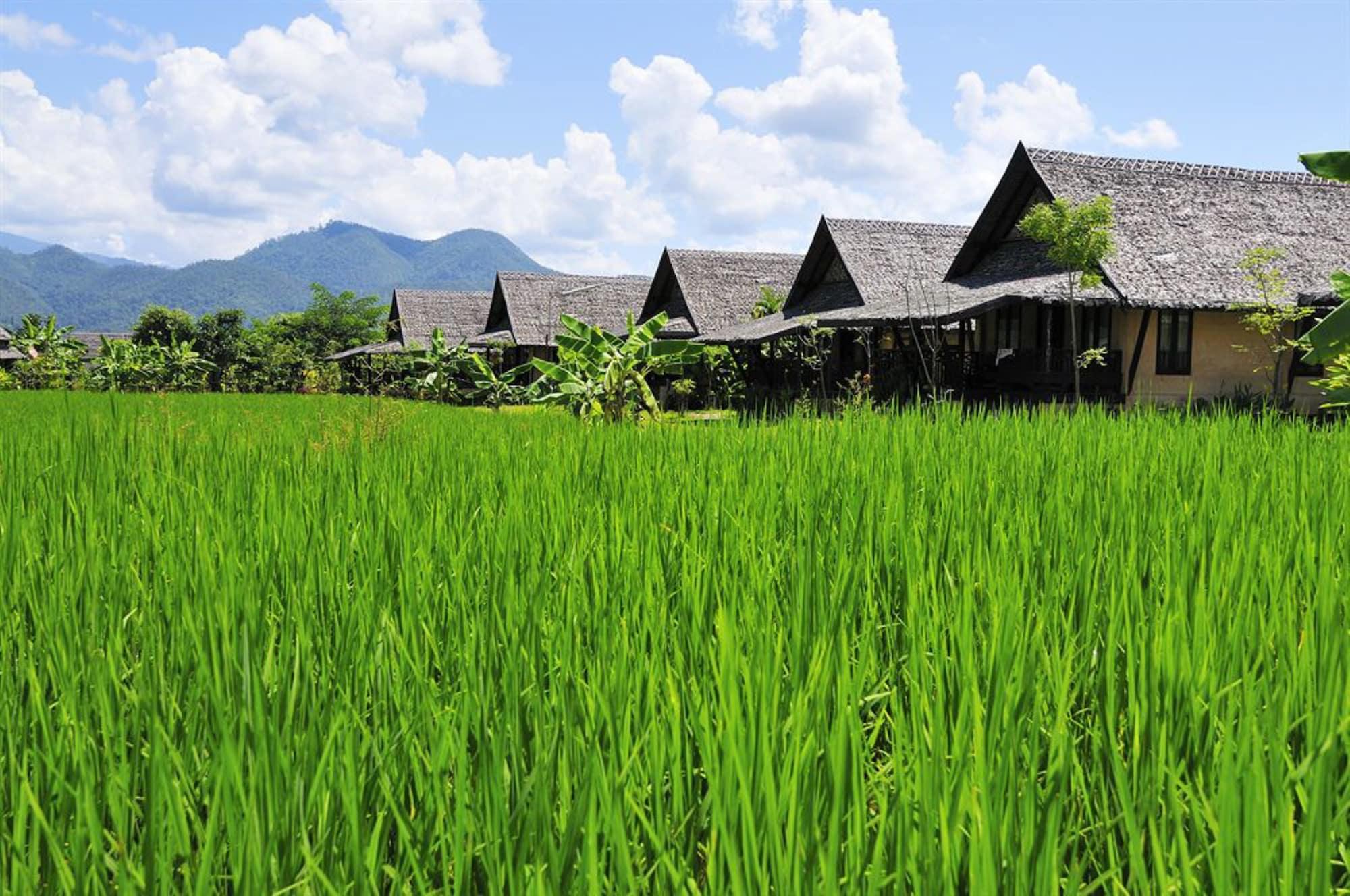 Phu Pai Art *