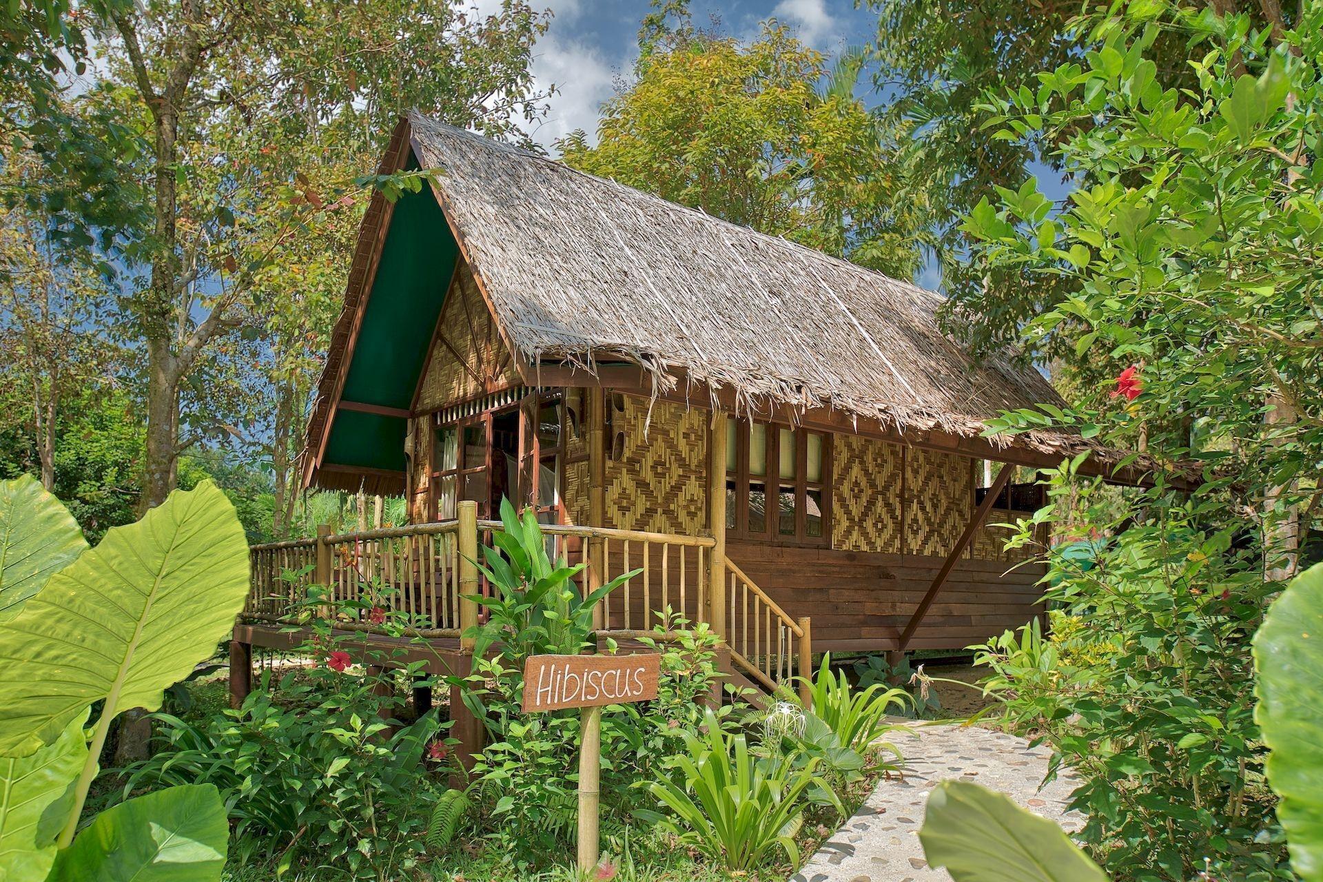 Our Jungle Camp - Eco