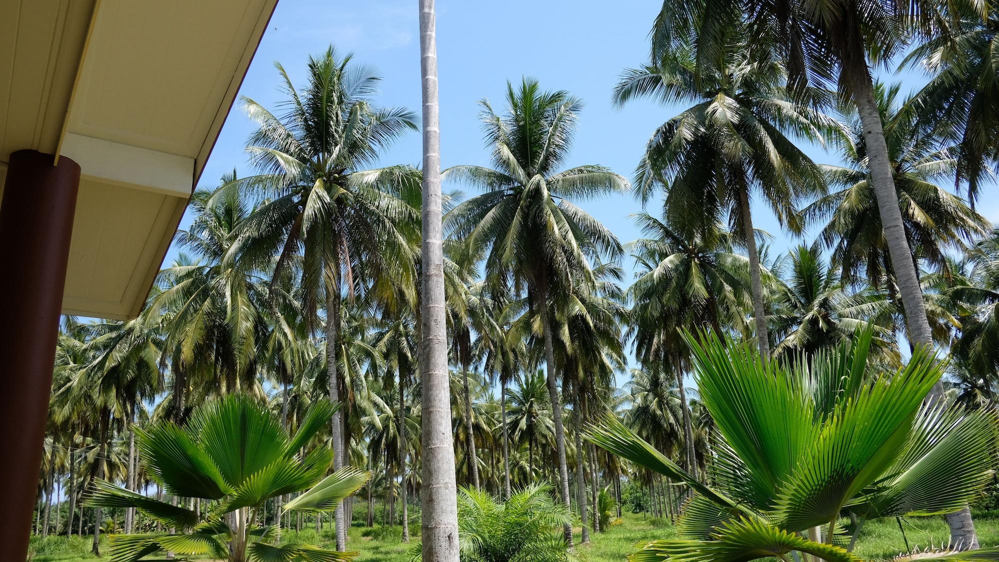 Resort Golden Coconut 2*