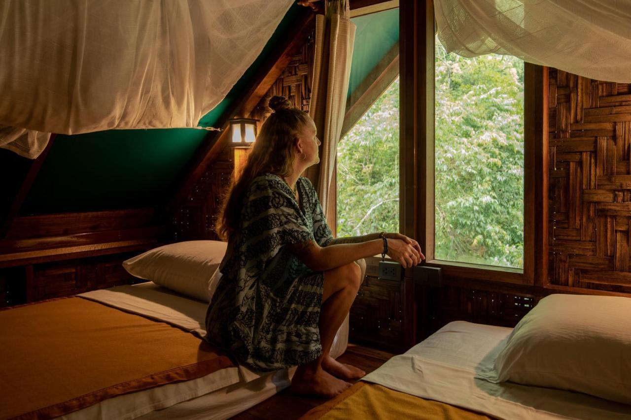 Our Jungle Camp - Eco