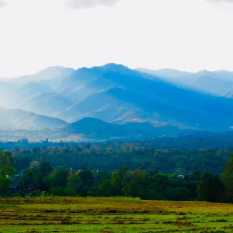 Vimarnkiri Holiday park Pai