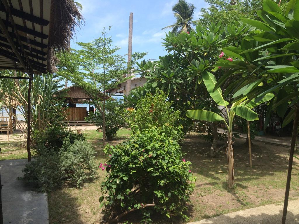 The Blue Parrot 2* Ko Pha Ngan