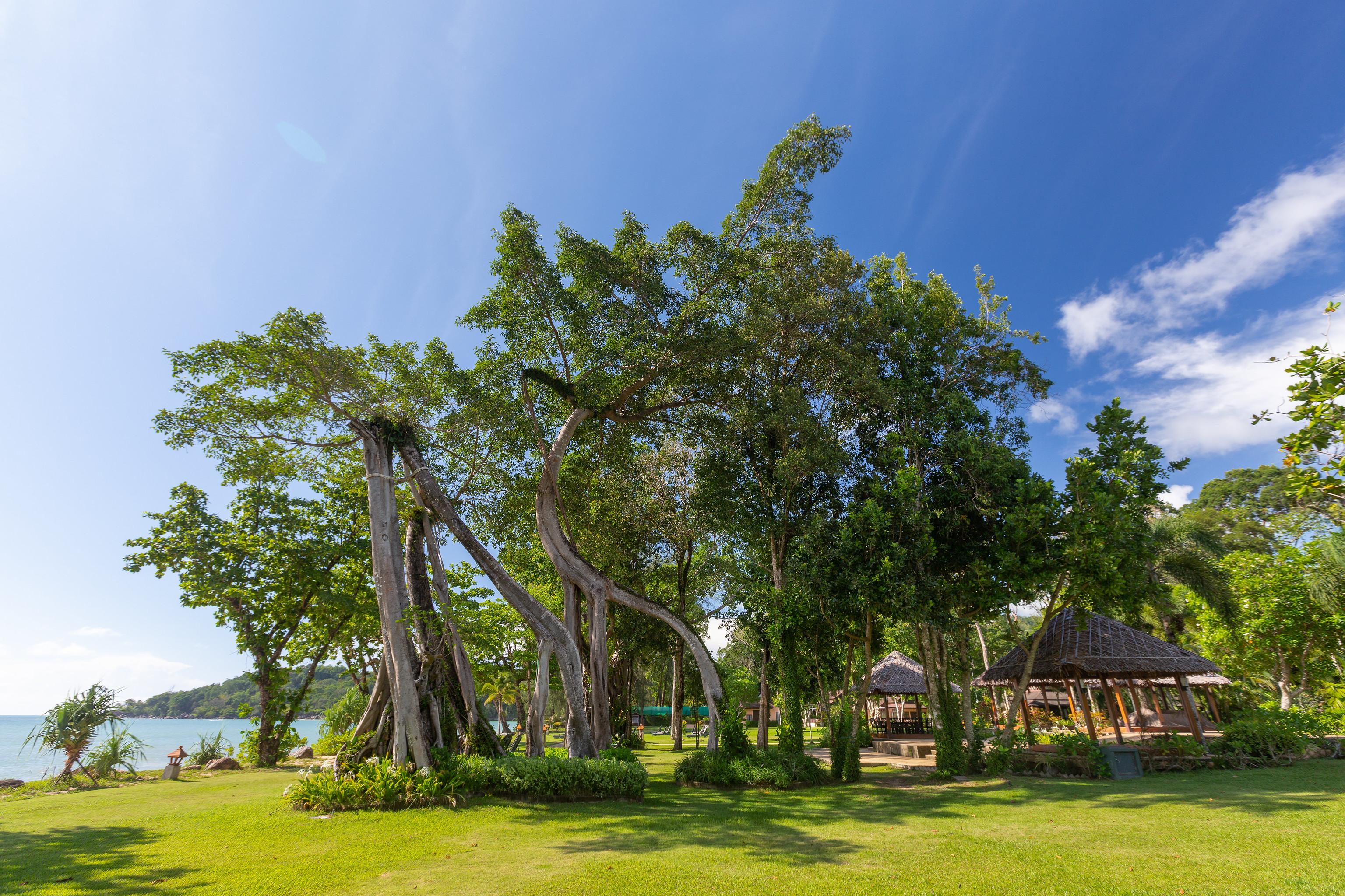 Resort Khaolak Merlin 5*