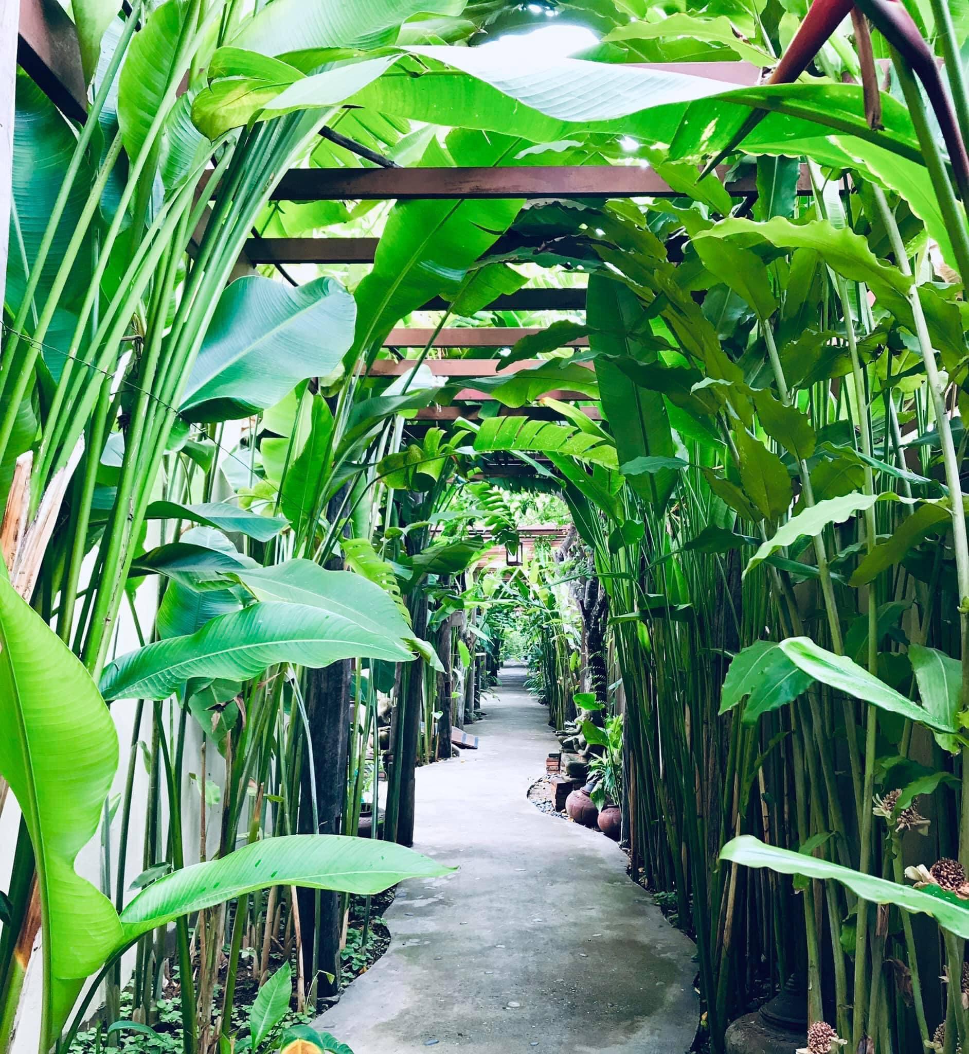 Shewe Wana Boutique (adults Only) 4* Chiang Mai