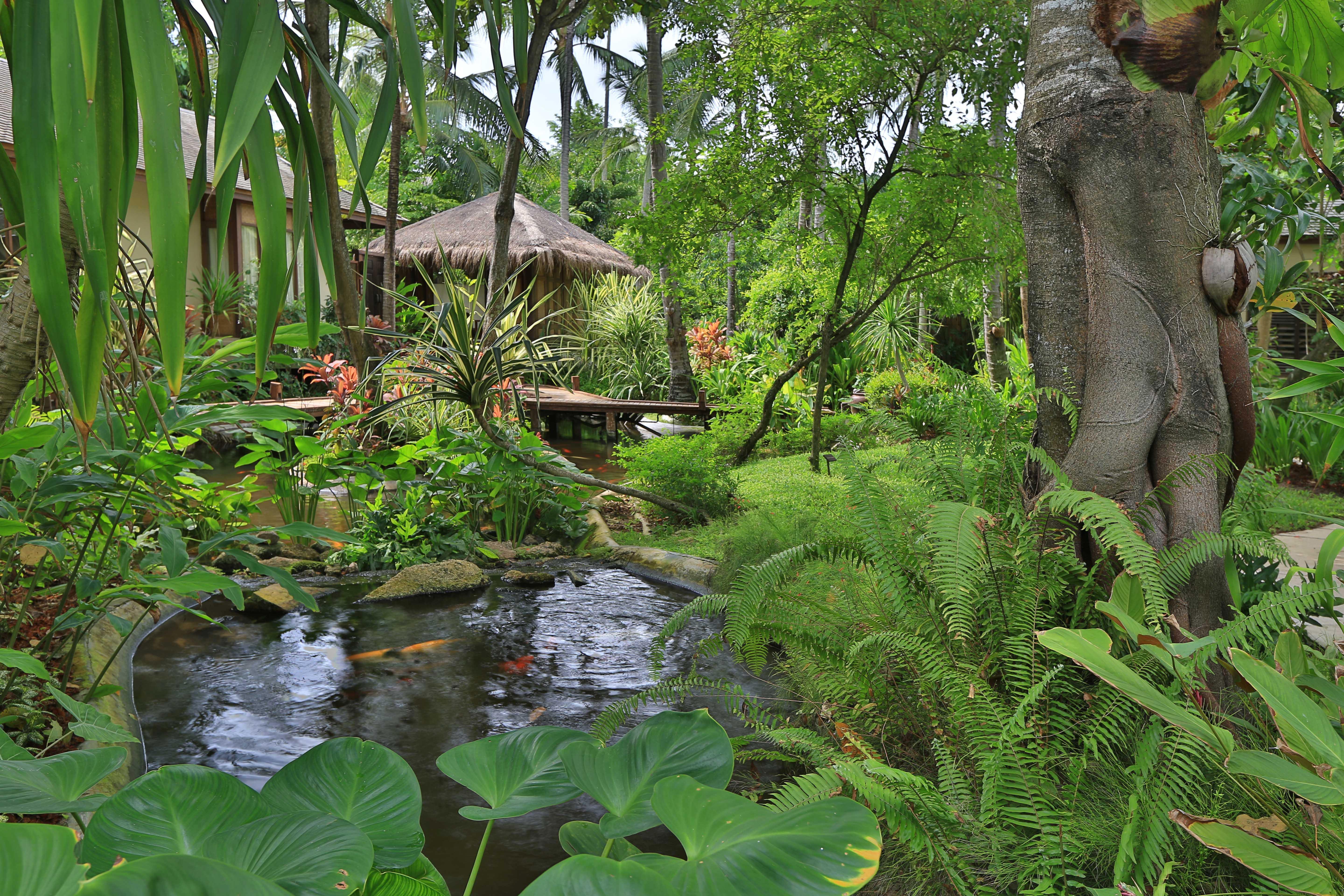 Anantara Rasananda Koh Phangan Resort Thong Nai Pan Noi