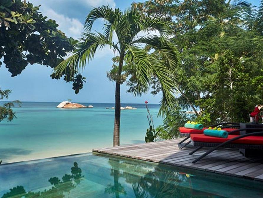 Kupu Kupu Phangan &