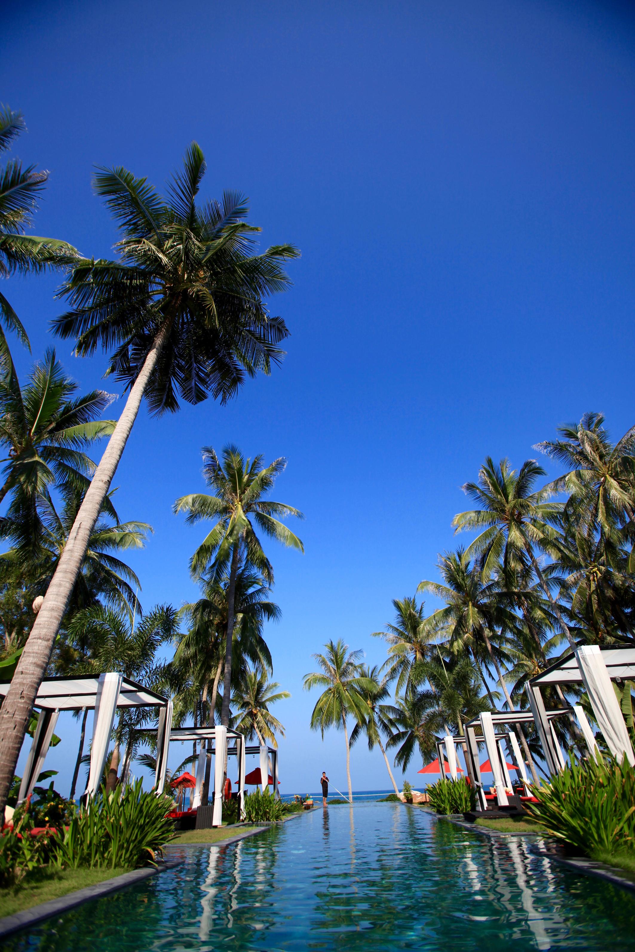 Kupu Kupu Phangan & Ko Pha Ngan