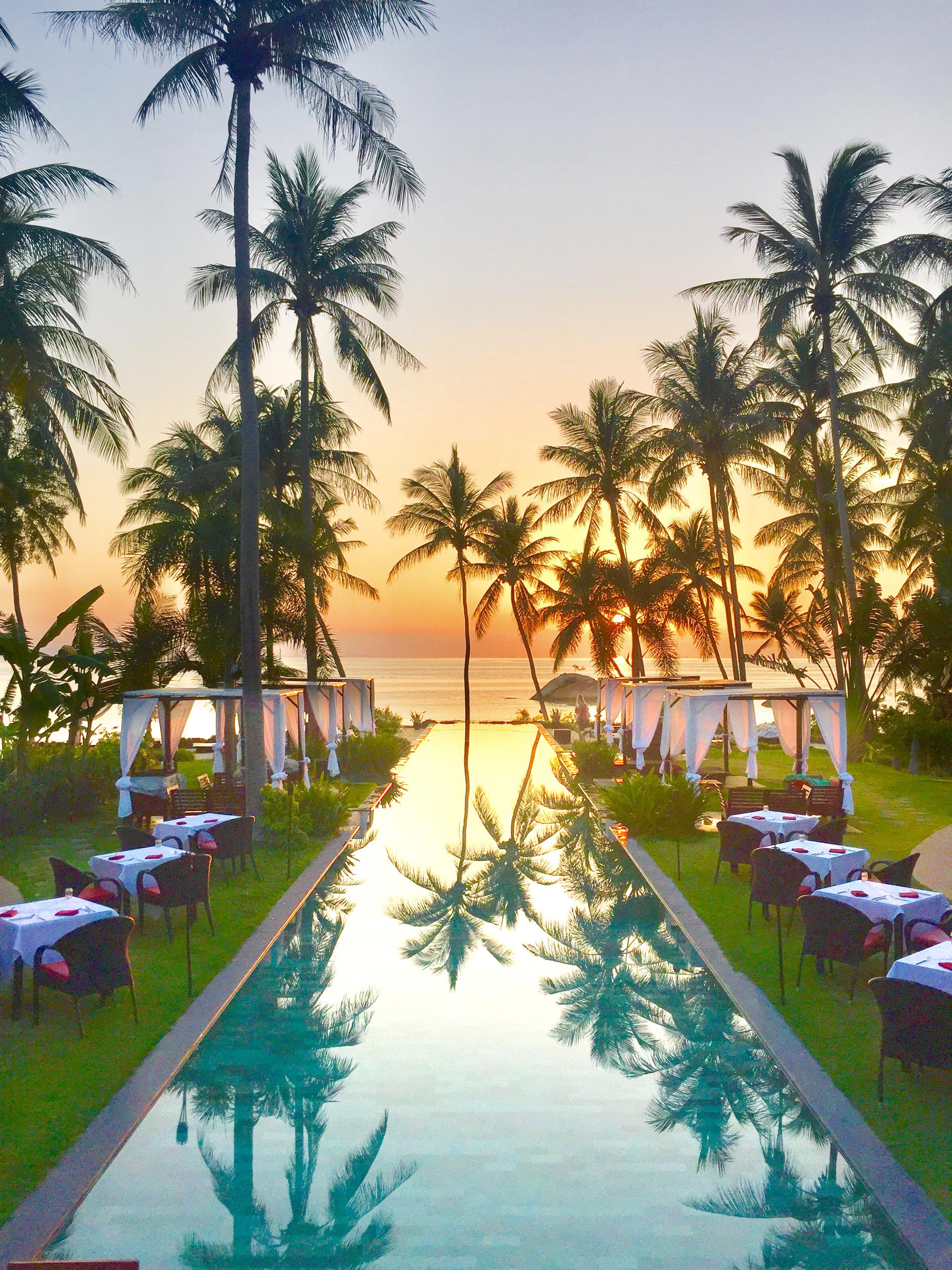 Kupu Kupu Phangan &