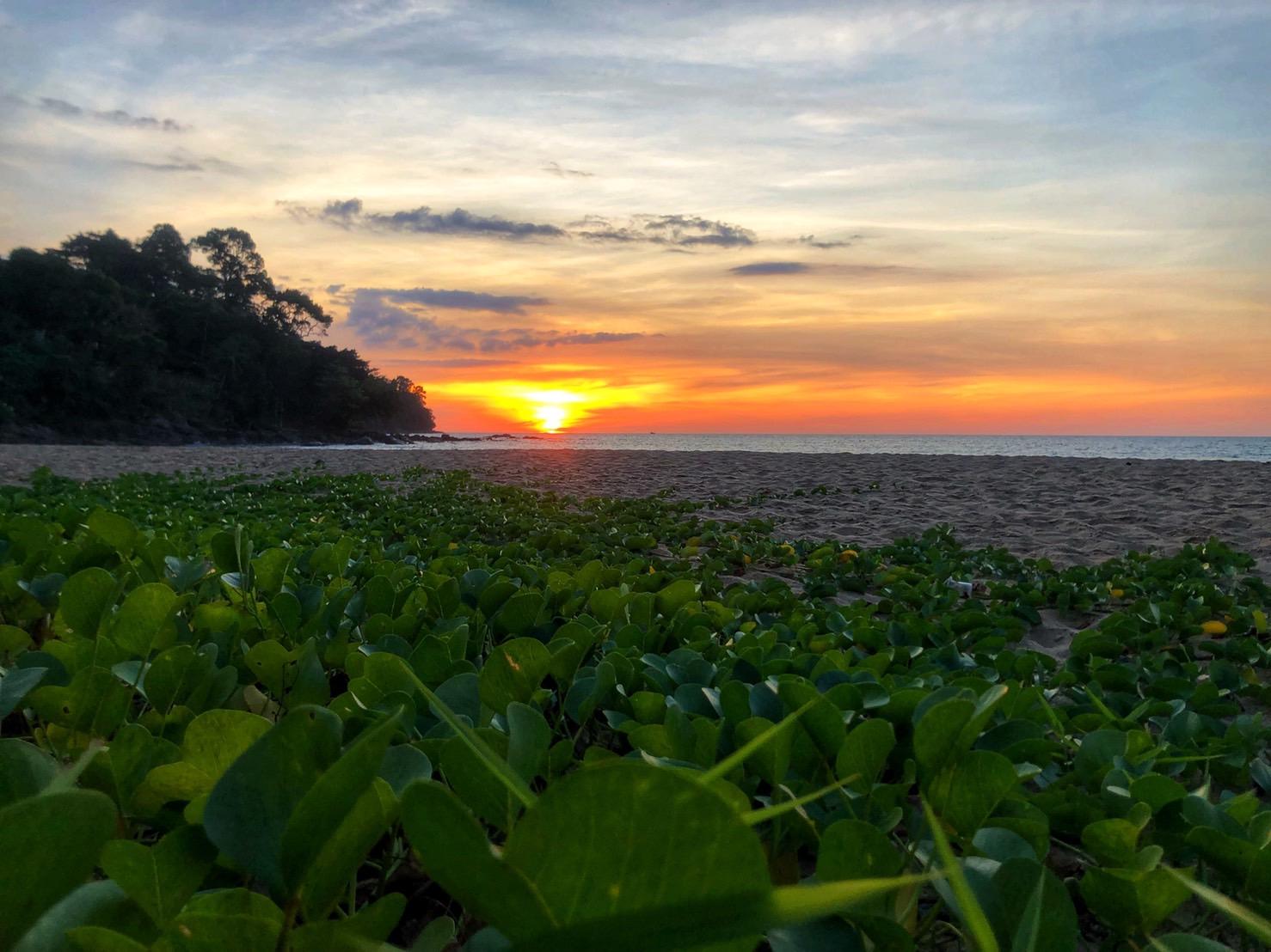 Khaolak Palm Khao Lak