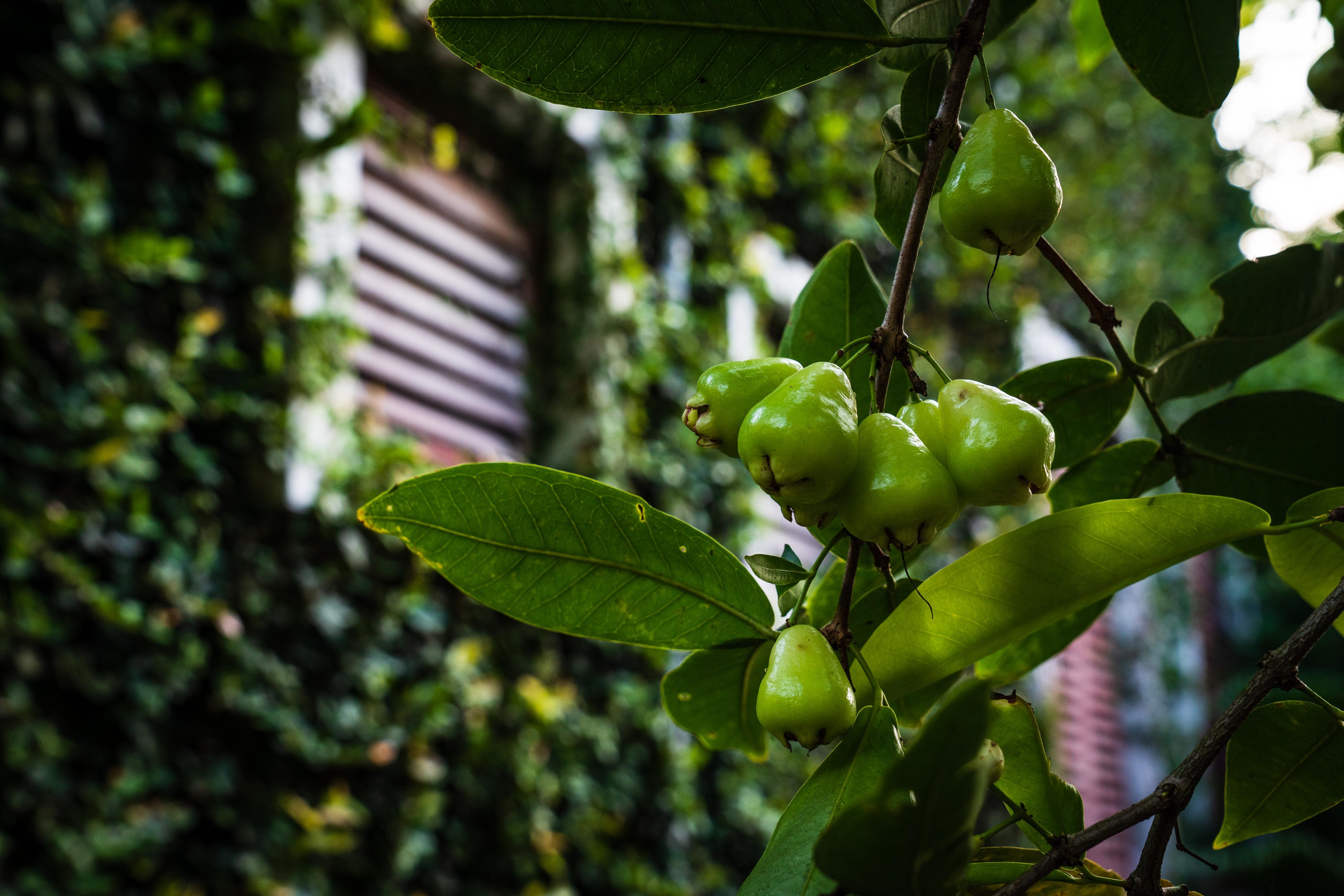 Kaomai Lanna Resort 3*